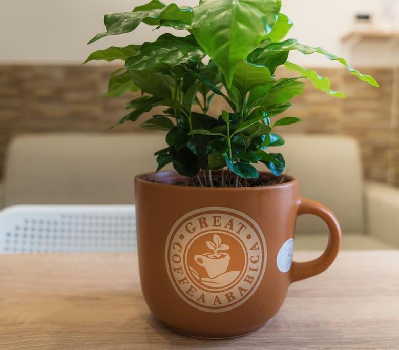 Apartmán Il Tempo Di Un Caffe Neapol Exteriér fotografie